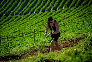 BIB: 
                            <button type="button" onclick="openModal(19161086)" class="btn btn-primary btn-sm float-right btn-popup" data-toggle="modal" data-target=".modal-high-quality">
                        <i class="fas fa-shopping-cart"></i> Add to Cart
                    </button>
                                            <button type="button" onclick="isThisMe(19161086, true)" class="btn btn-success btn-sm float-right btn-popup btn-isme hidden" data-toggle="tooltip" data-placement="bottom" title="นี่คือรูปของคุณใช่ไหม คลิกที่นี่เพื่อเอาเข้าอัลบั้ม">
                        <i class="fas fa-plus"></i> Add to album
                    </button>
                    <button type="button" onclick="isThisMe(19161086, false)" class="btn btn-warning btn-sm float-right btn-popup btn-isnotme hidden">
                        <i class="fas fa-ban"></i> Remove from album
                    </button>